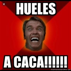 Meet your Posher, Esther